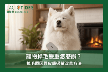 狗狗掉毛嚴重怎麼辦？