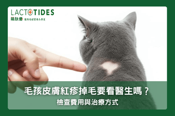 狗狗皮屑與掉毛檢查與費用