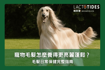 寵物毛髮怎麼養亮？