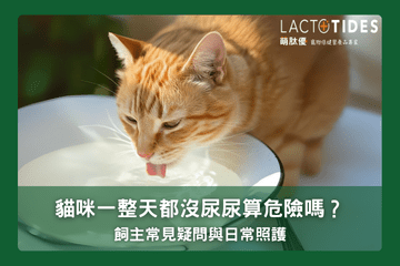 飼主常見疑問與日常照護