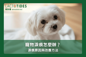 狗狗貓咪淚痕全攻略