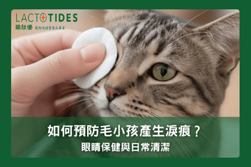 如何預防狗狗貓咪淚痕？