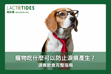 狗狗貓咪淚痕的飲食關聯