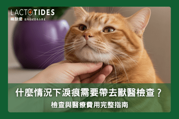 寵物淚痕檢查與醫療費用