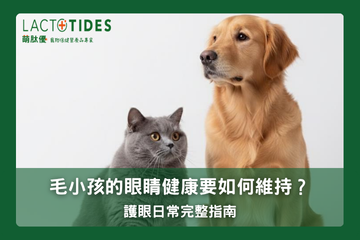 狗狗貓咪護眼日常