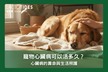 寵物心臟病的壽命與生活照護