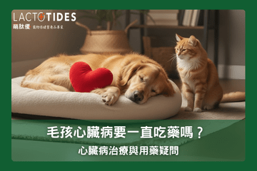 寵物心臟病治療與用藥疑問