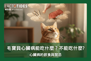 寵物心臟病的飲食與禁忌