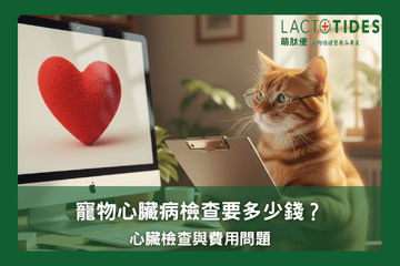 寵物心臟檢查與費用問題