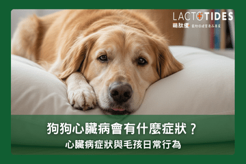 寵物心臟病的症狀觀察與日常行為