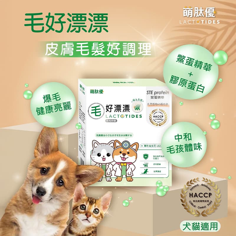 毛好漂漂 (寵物皮膚保健食品) 毛好漂漂 (寵物皮膚保健食品)
