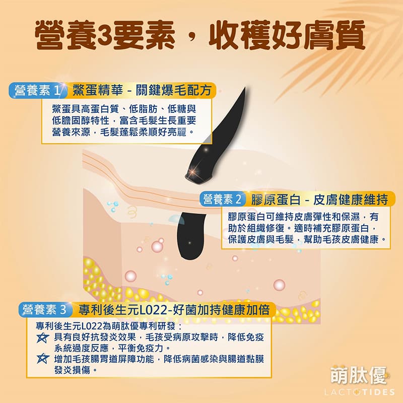 毛好漂漂 (寵物皮膚保健食品) 毛好漂漂 (寵物皮膚保健食品)